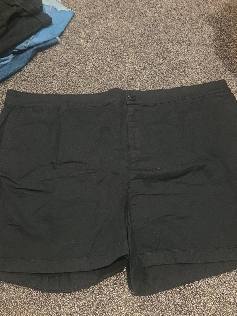 Lane Bryant Black Flat Front Shorts